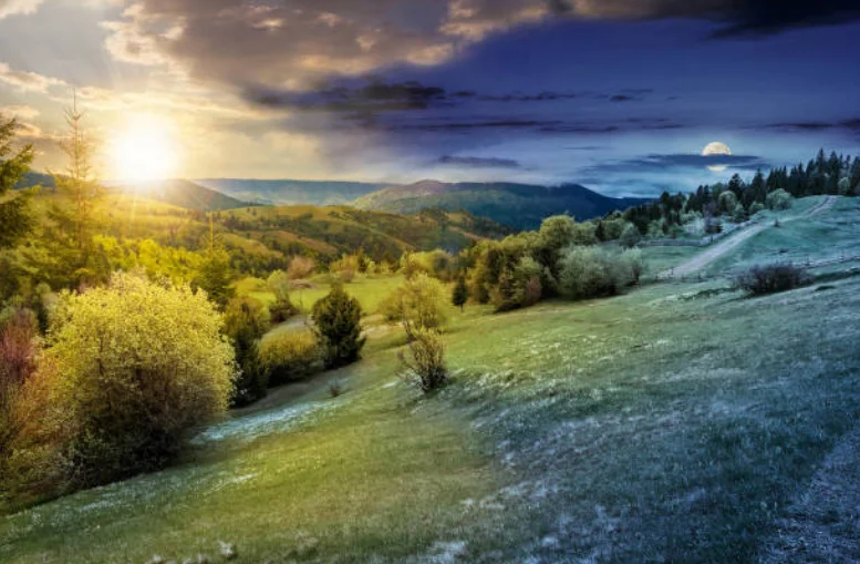 Stress: Restoring Biological Rhythms – A Key to Our Well-being