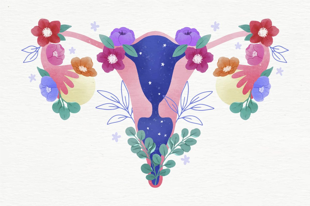 Comprendre le cycle féminin